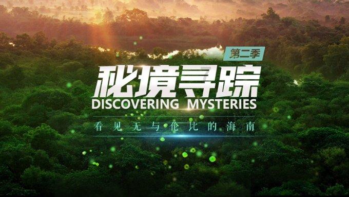张小磊：当红时下海经商，嫁普通丈夫，如今咋样了？